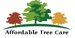 Tree Service | Tree Removal | Tree Trimming | Stump Grinding | Snow Plowing | Berrien County | Southwestern Michigan